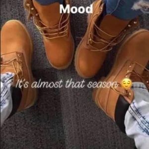 Meet your Posher, Barbara